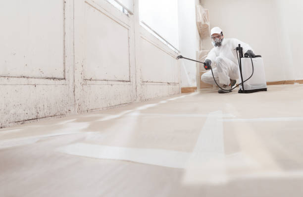 24/7 Emergency Mold Remediation experts in Harwood, MD
