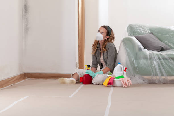 Reliable Mold Remediation contractor in Harwood, MD by 24 Hour Mold Removal